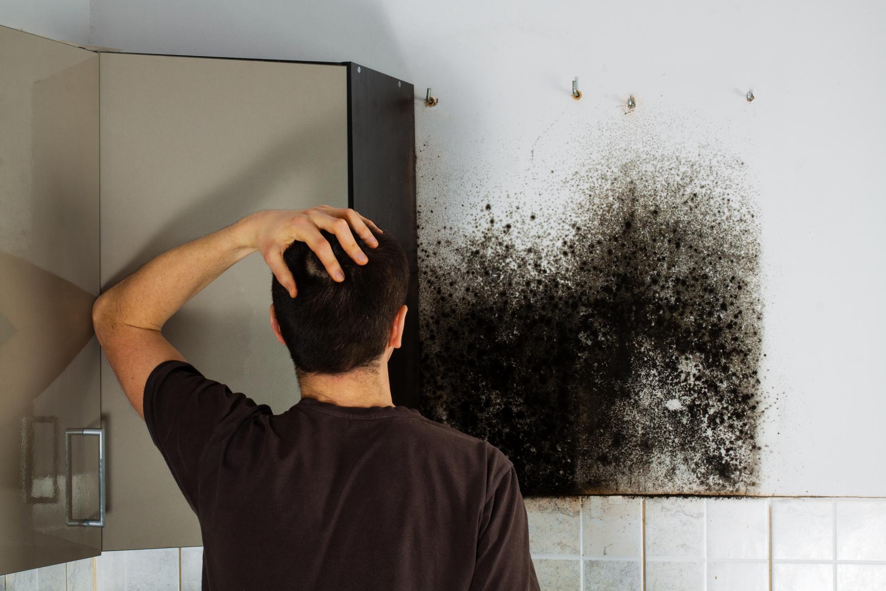 Как навсегда избавиться от конденсата и плесени в ванной комнате: эффективные способы